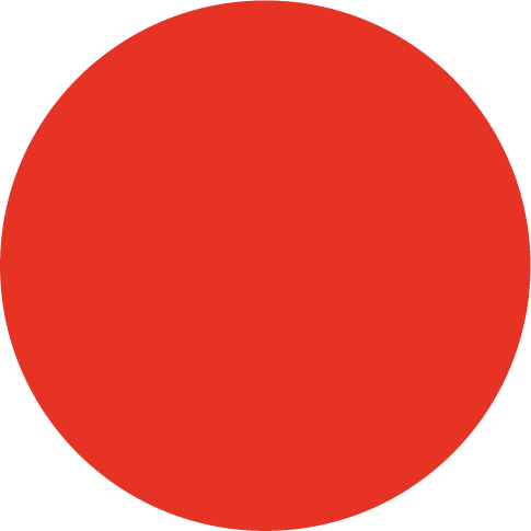 Dragons Gym Logo